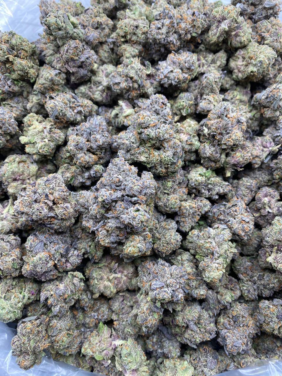 BANANA SHERBERT INDOORS THCa flower — bud structure shown in close detail