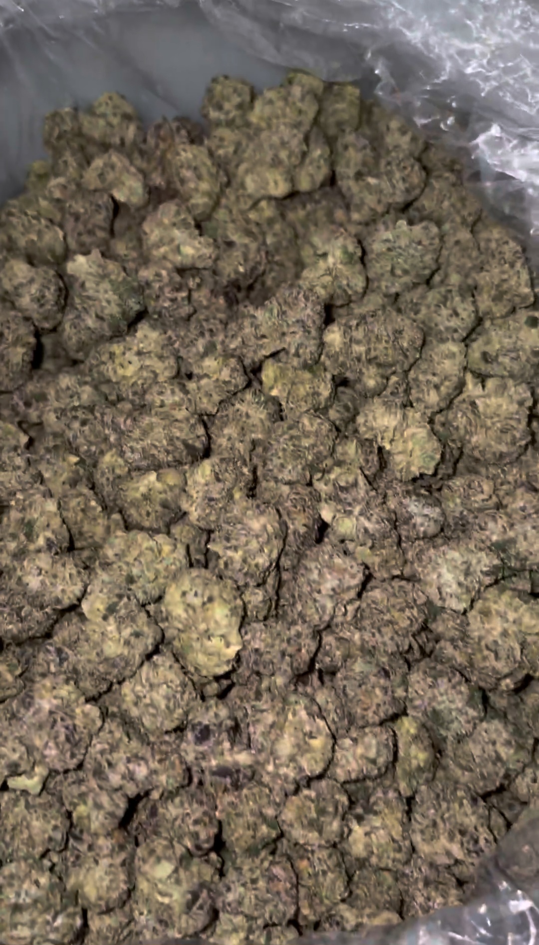 BERRIEZ BUBBLE GUM