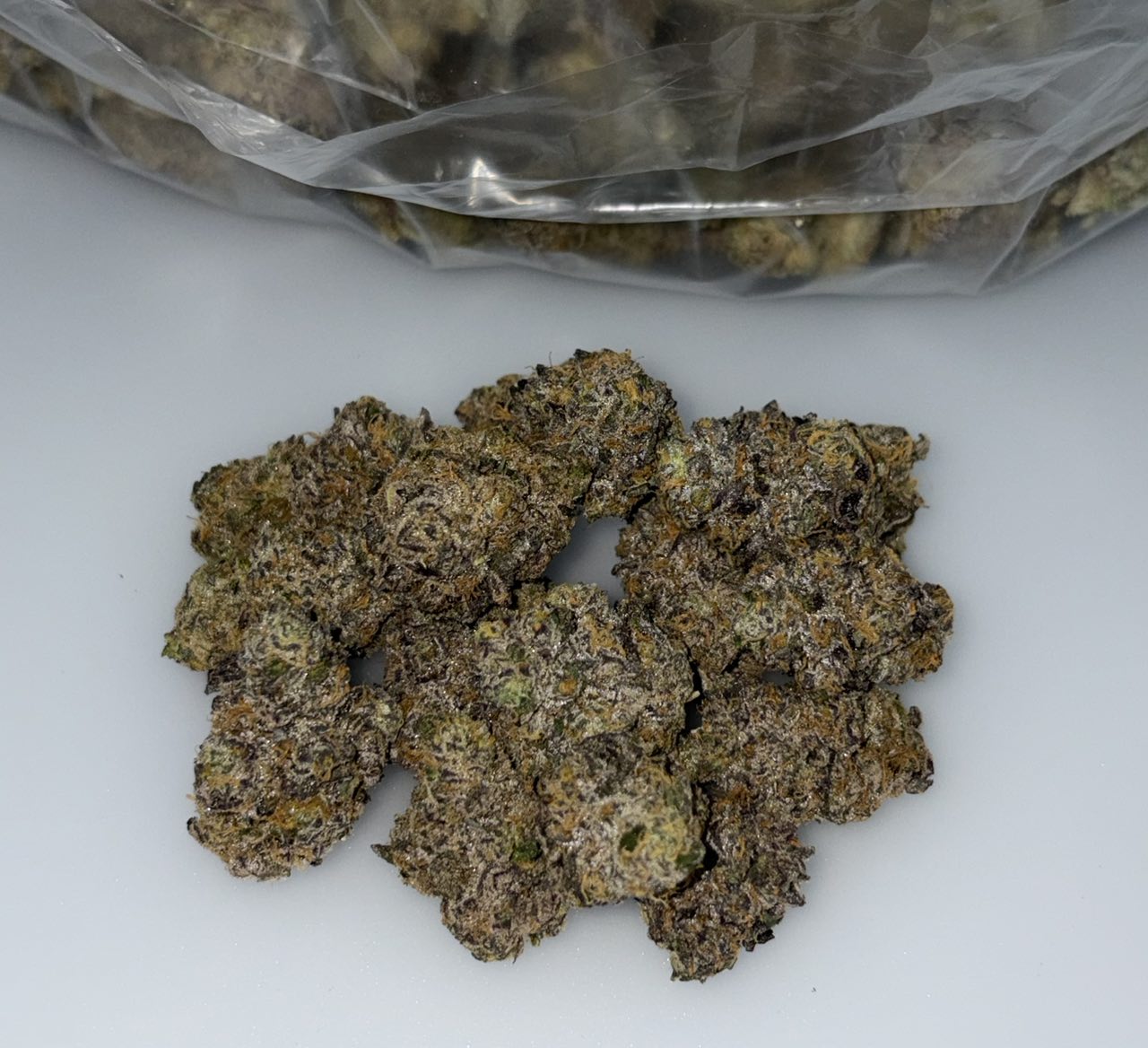 Birdo Bomber