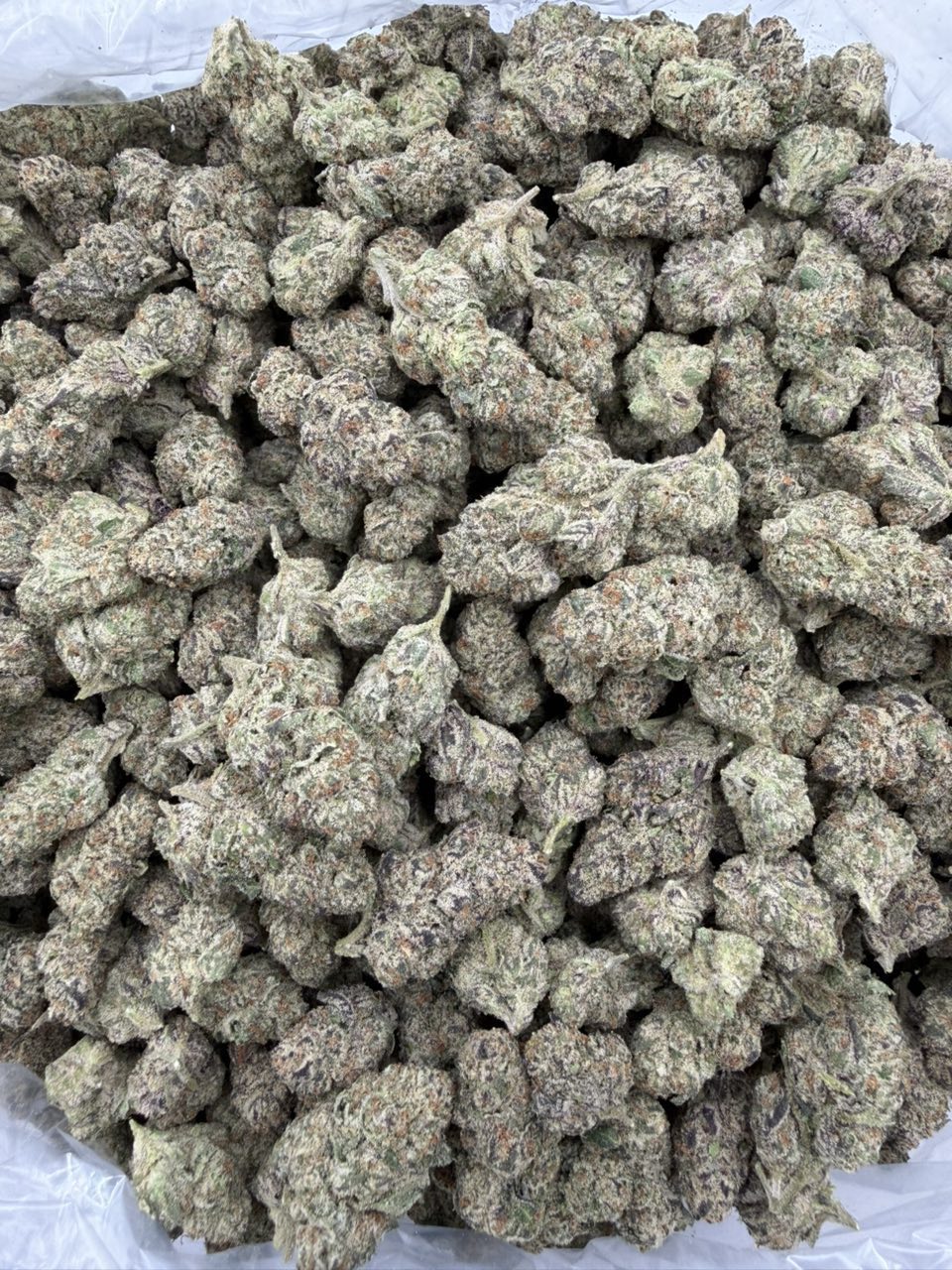 Blue meteorite fakers THCa flower — bud structure shown in close detail