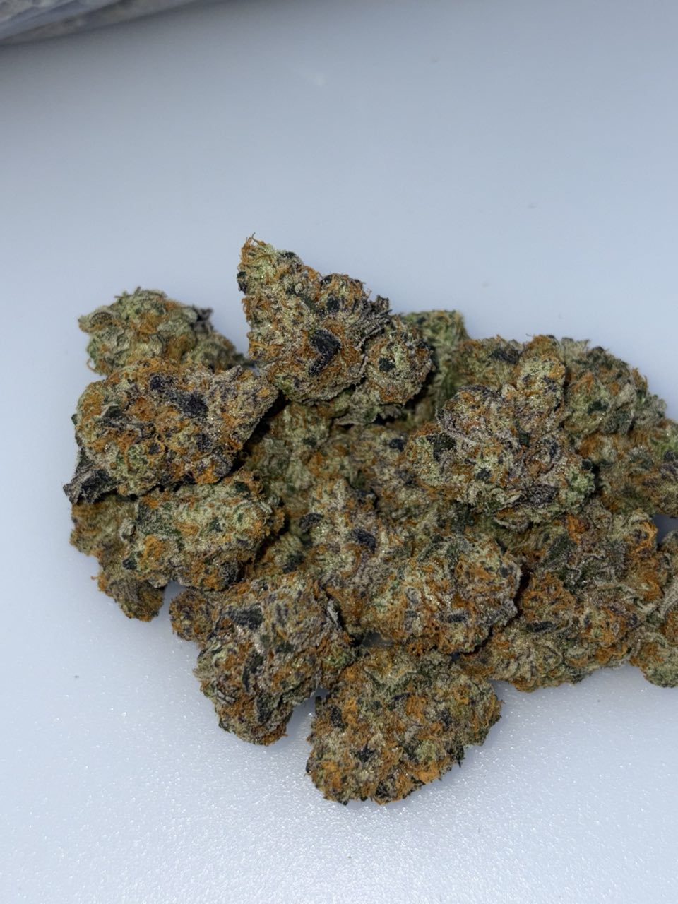 PINK GHOSTIEZ — Wholesale