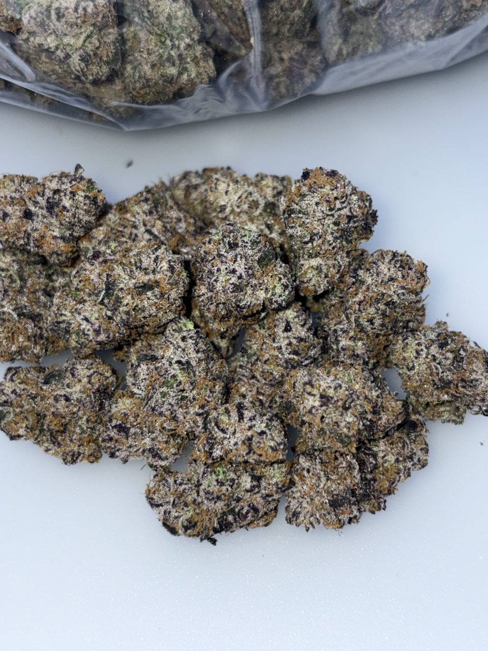 SUPER BUBBLEGUM POPPERS — Wholesale