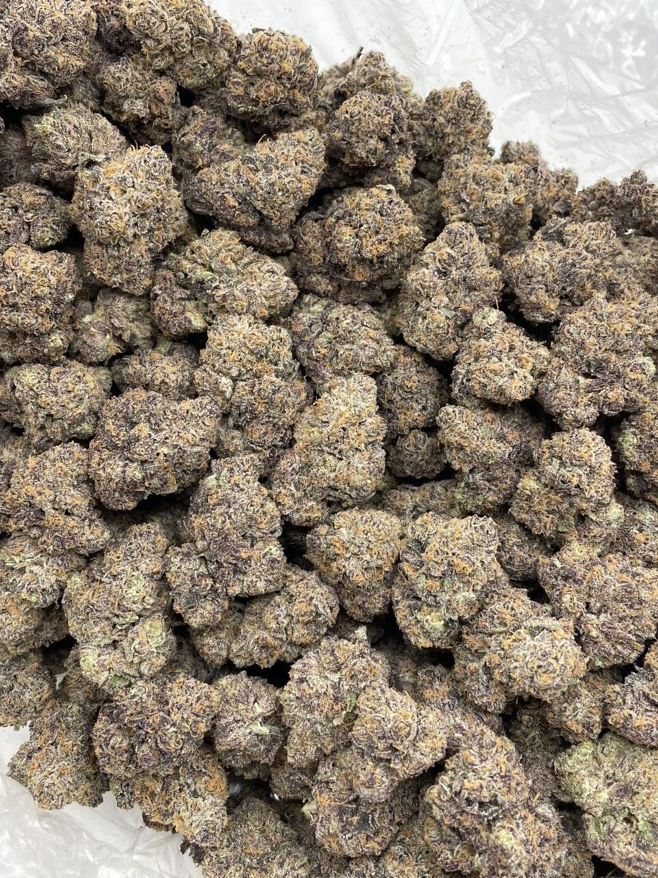 Zkittle M&M’s indoors THCa flower — bud structure shown in close detail