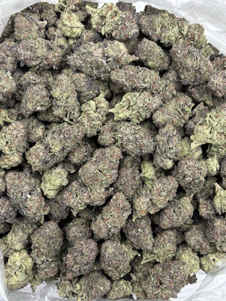 MINT CHIP MIX LIGHTS THCa flower — bud structure shown in close detail