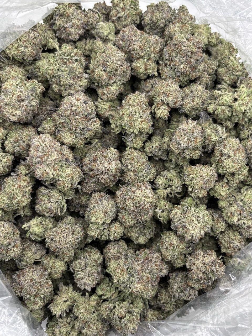 CRÈME SODA MIX LIGHTS — a closer look at the product NexaDistro ships