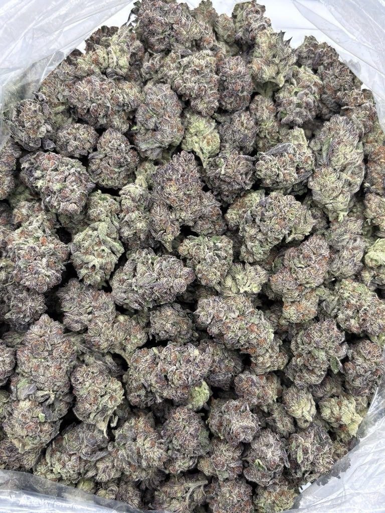 CHOCOLOPE MIX LIGHTS — a closer look at the product NexaDistro ships