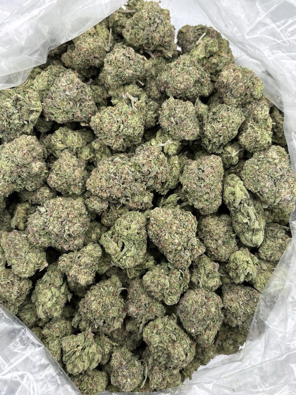 GOBSTOPPERS MIX LIGHTS THCa flower — bud structure shown in close detail