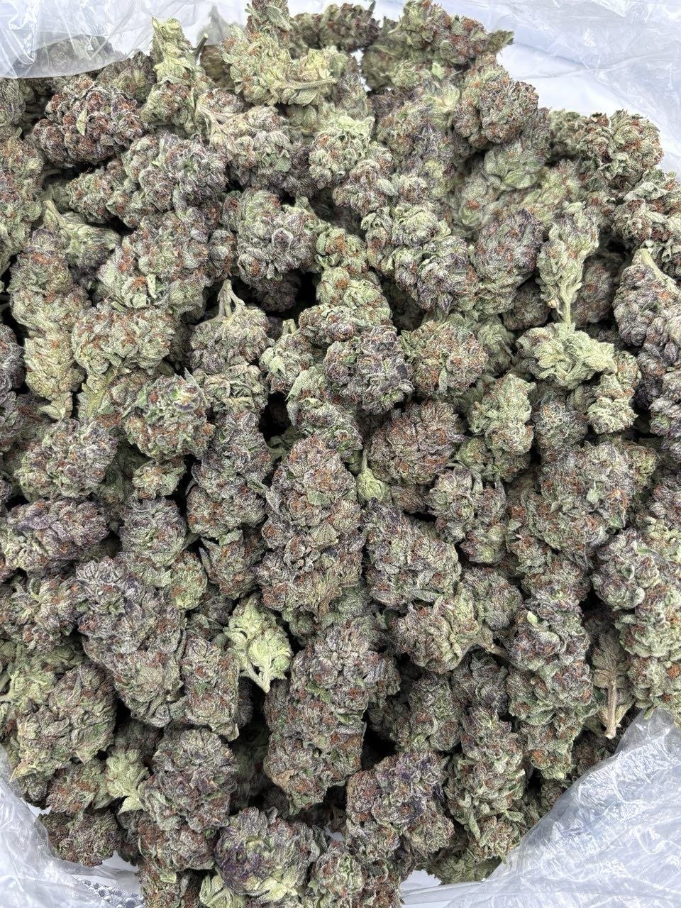 ICE CREAM CAKE MIX LIGHTS THCa flower — bud structure shown in close detail