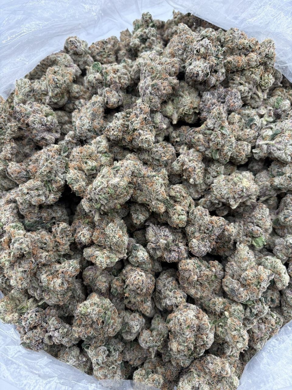 Sour apple gelato C9 THCa flower — bud structure shown in close detail