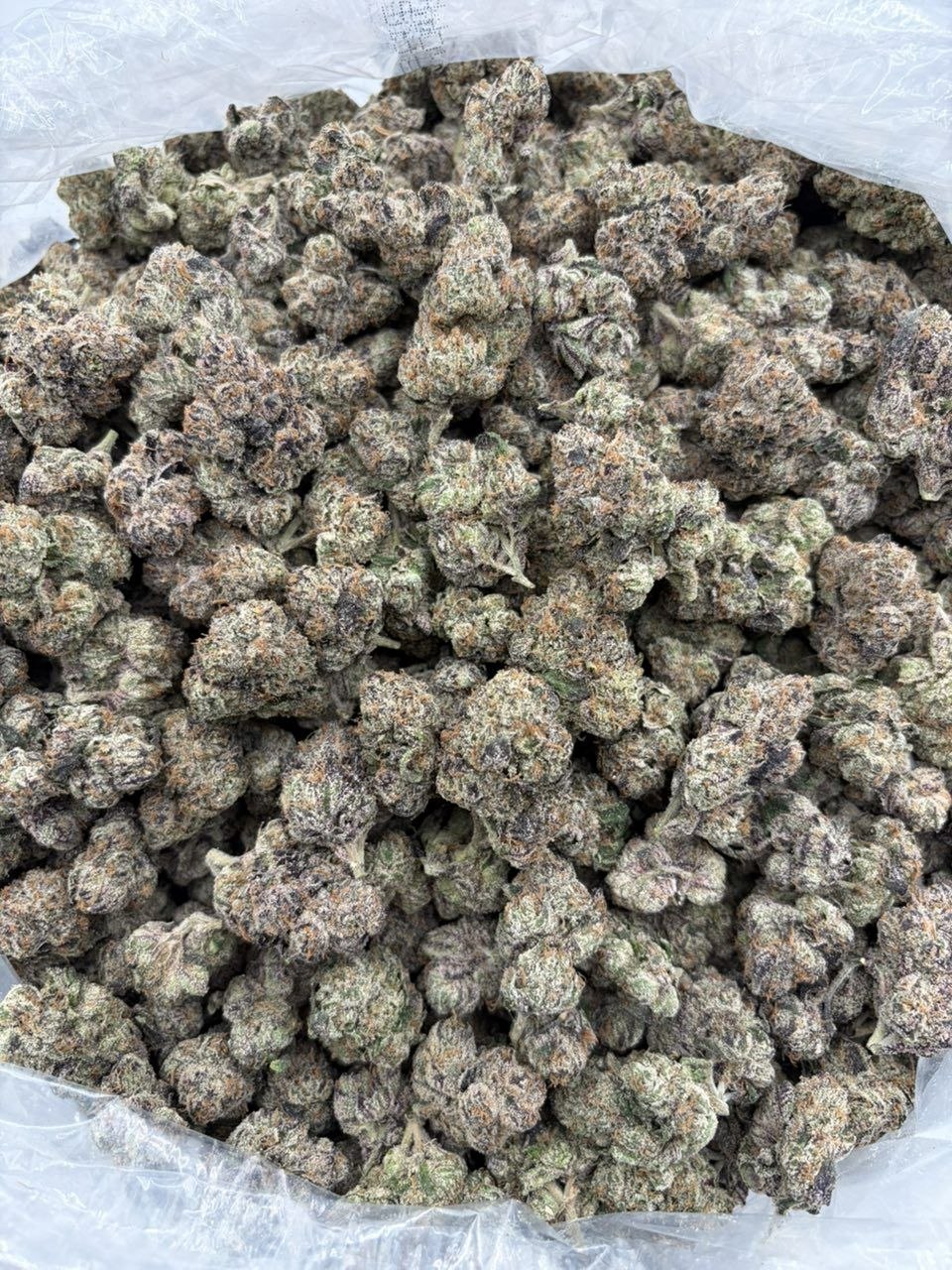 Frozen bubblegum C6 THCa flower — bud structure shown in close detail