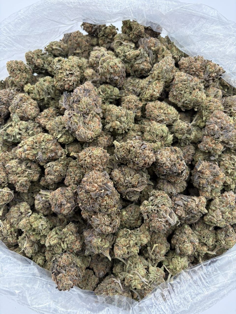 Lemon cherry delight J7 THCa flower — bud structure shown in close detail