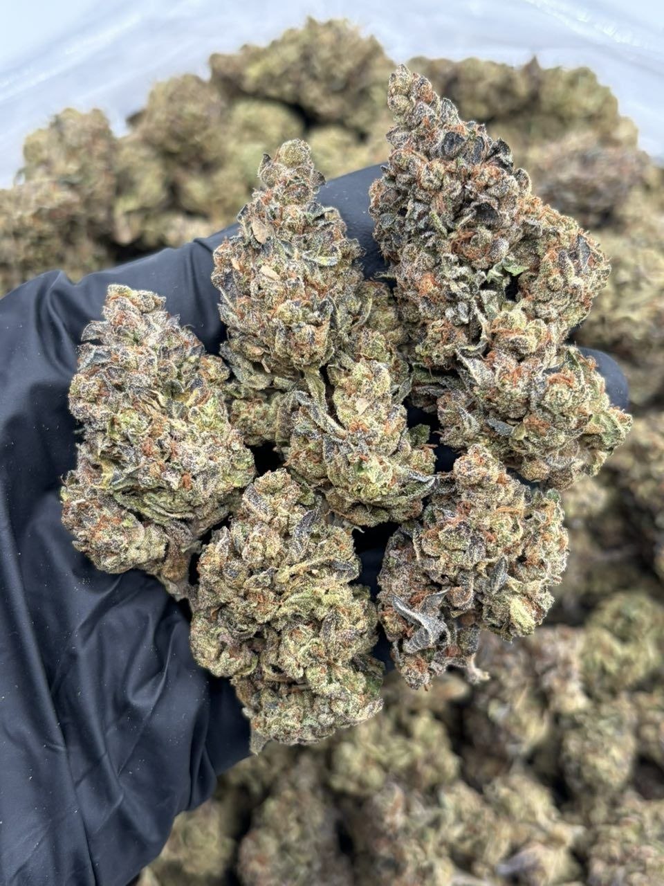 Candy crusher F2