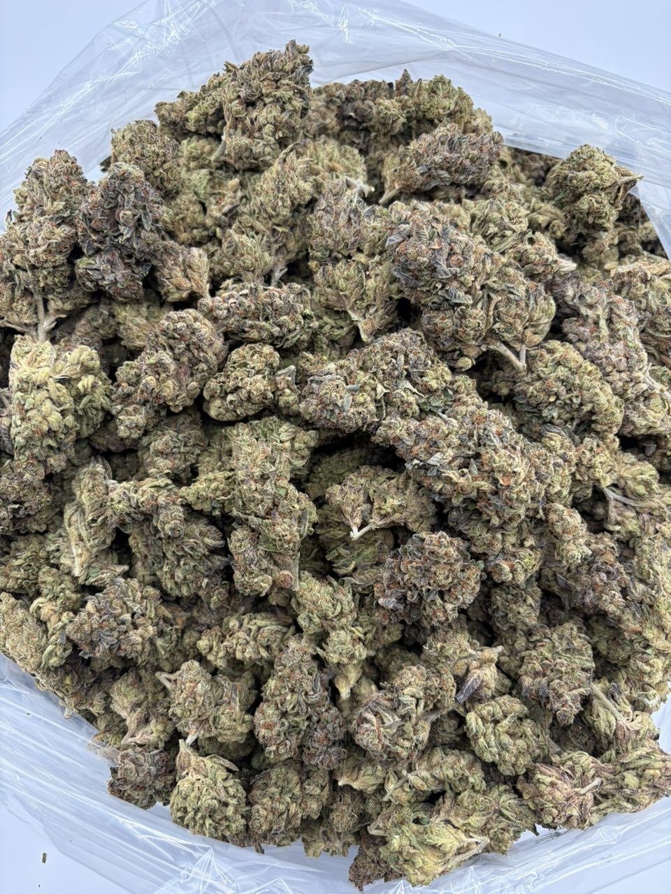 Candy crusher F2 THCa flower — bud structure shown in close detail