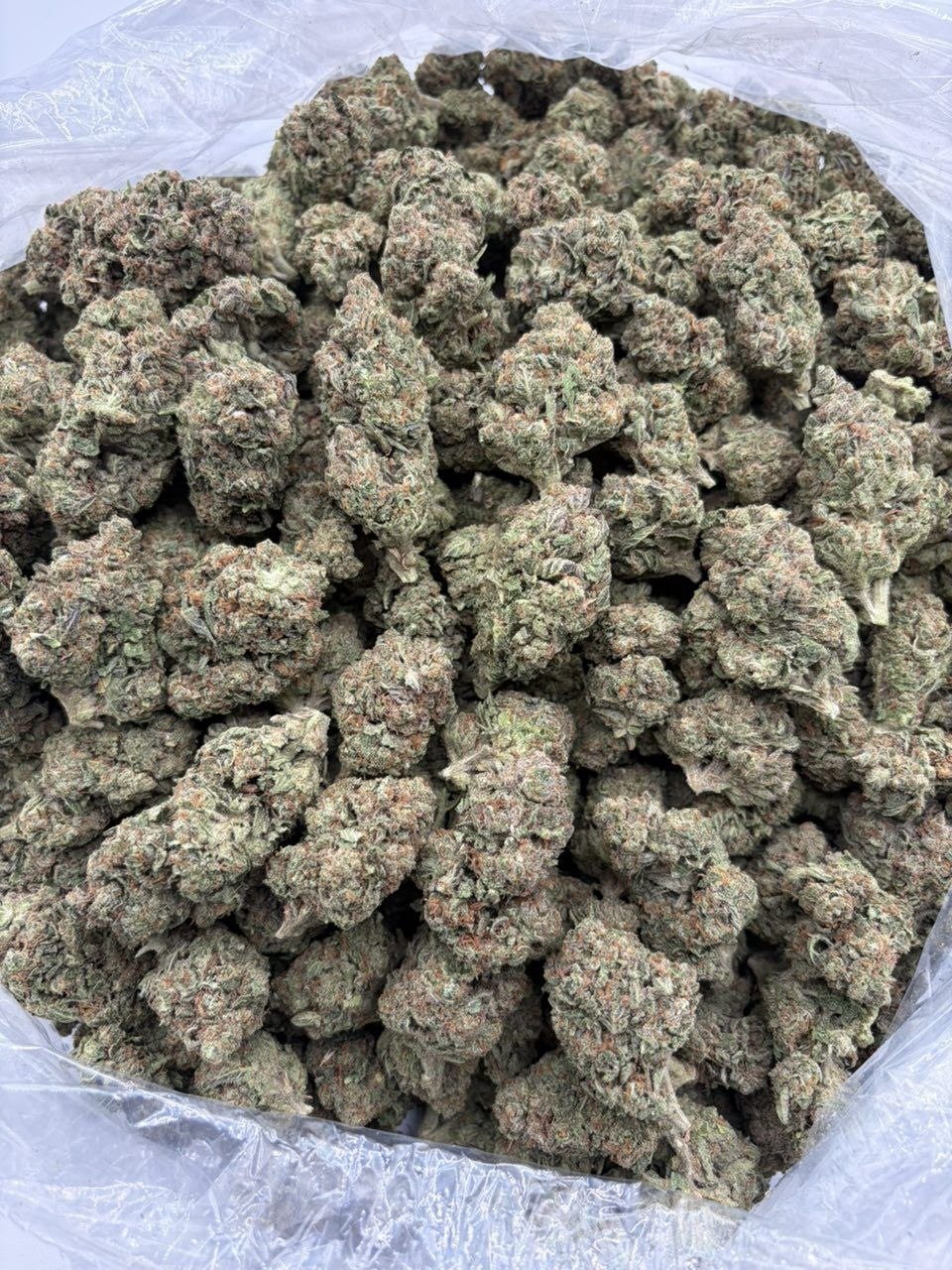 Black Cherry Gelato — a closer look at the product NexaDistro ships