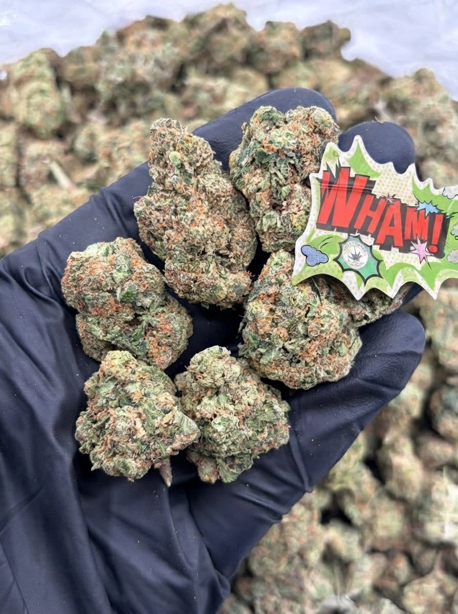 Orange Fanta — Wholesale