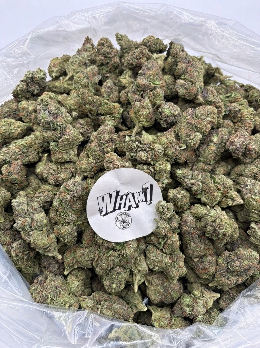 Venom runtz THCa flower — bud structure shown in close detail